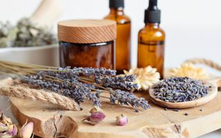 Image for How naturopathy supports fertility: a holistic approach