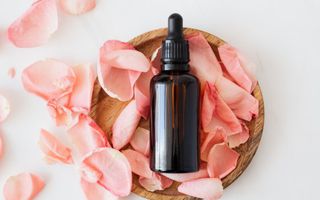 Image for Essential oils for catarrh: a natural relief guide