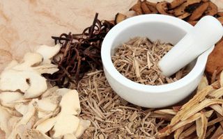 Image for TCM for anaemia: ancient wisdom meets modern science