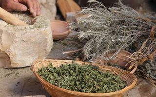 Image for Boost your immunity with naturopathy