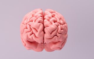 Image for How to study NLP in Australia: Courses and careers