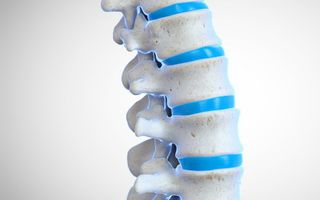 Image for Network spinal analysis: Transform your wellbeing with gentle touch