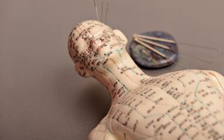 Image for Meridian lines: Australia's guide to acupuncture energy paths
