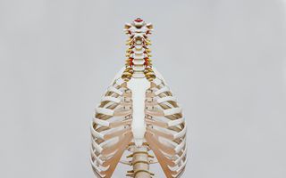 Image for How to Launch a Successful Chiropractic Practice