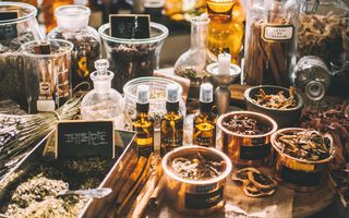 Image for What You Need to Know About Homeopathy Pharmacy
