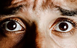 Image for All You Need to Know About Phobias