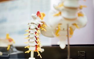 Image for Better Access for People With Spinal Cord Injuries