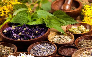 Image for The power of Chinese herbs for immunity