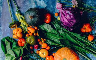 Image for Nutrition in the Management of Anxiety