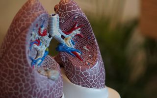 Image for Join Lung Health Awareness Month 2021 to Combat Lung Diseases