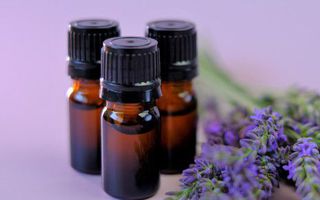Image for Essential oils vs incense for wellness and home use