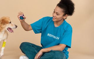 Image for 6 Mental Health Benefits of Pet Therapy in Australia