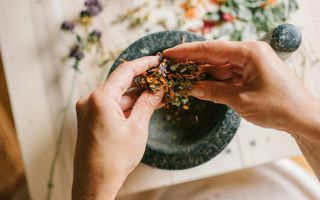 Image for Natural hair loss solutions: herbal remedies that work