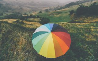 Image for Colour Therapy Courses
