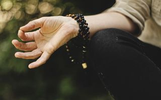 Image for Meditation Courses