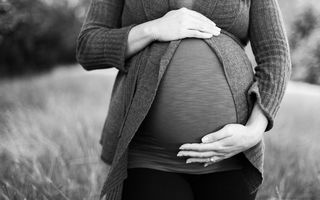 Image for Doula Courses