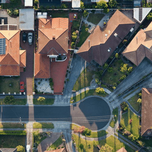 10 Herbal Medicine for Women’s Health