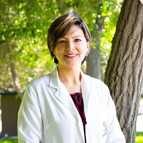 What is Complementary Medicine? All You Need to Know About