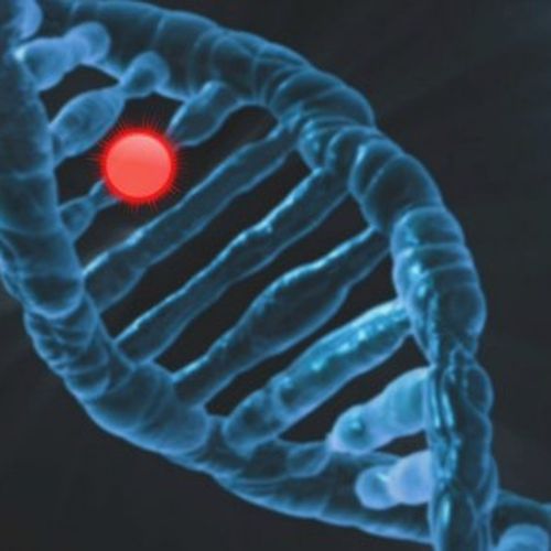 DNA testing in Australia: what you need to know | NaturalTherapyPages ...