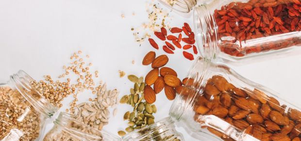Health & Wellness
