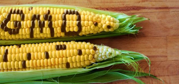 Food Additives
