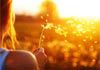 About The Art of Just Being