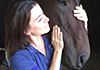 Mornington Peninsula Animal Therapies