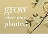 Grow Where You're Planted