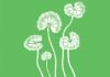 About Fremantle Natural Health