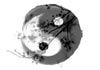 About Acupuncture Works