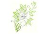 Blossom Bodycare