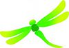 Transforming Health - Flower Essences
