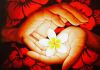 Enliven Bodywork & Healing Massage