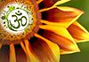 Om Ayurveda