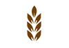 Earthsong Ayurveda