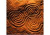 Danu Holistic Healing