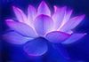 Reiki Healing with Suzanne