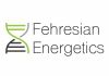 Fehresian Energetics