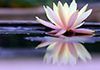 Leanne's Reiki Room