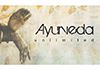Peter Noblet - Ayurveda