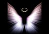Halo Holistic Healing