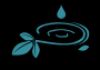Gina Whitelaw - doTERRA Wellness Advocate & Educator