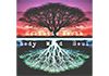 Holistic Counselling