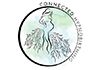 Connected Hypnobirthing