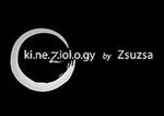 Kinesiology by Zsuzsa