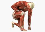 Body Beats Massage Therapy
