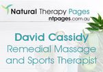David Cassidy Remedial Massage and Sports Therapist @ Henley Beach Chiropractic Clinic