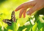 Gold Coast Remedial & Oncology Massage - Oncology Massage / Lymphatic Drainage
