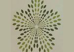 Tania Serong Holistic Living Counselling