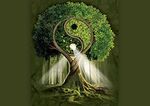 Conscious Touch